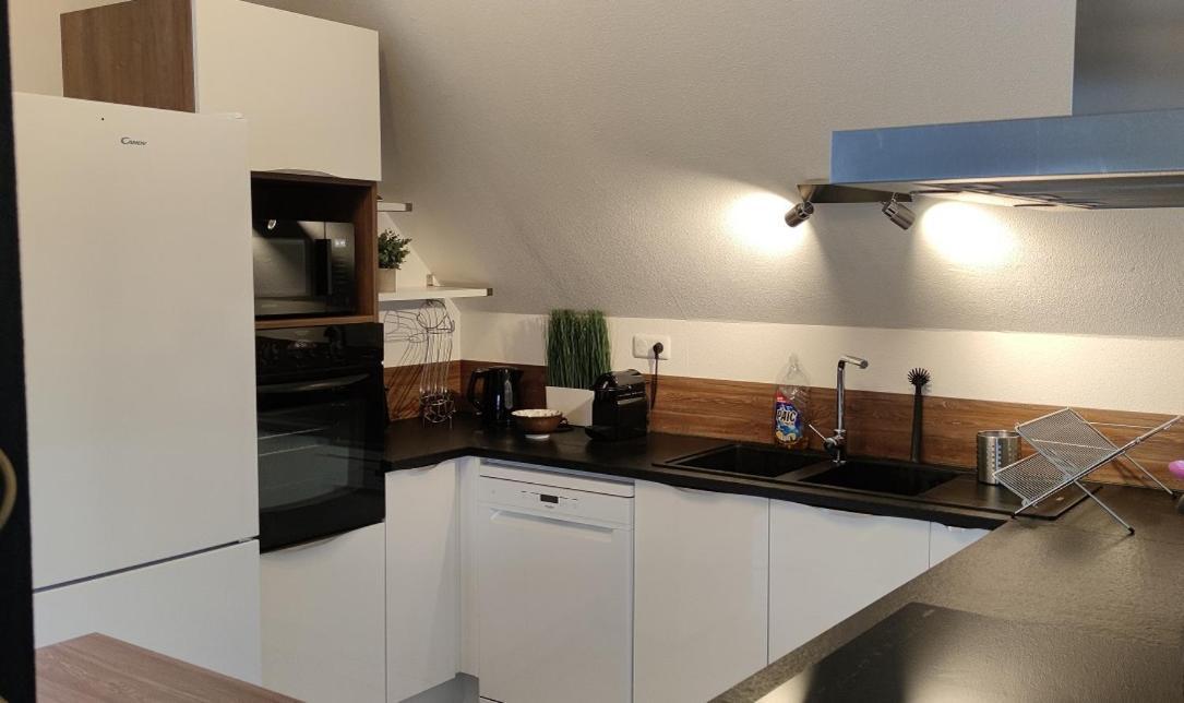 Ferienwohnung Le Strasbourgeois Illkirch-Graffenstaden Exterior foto