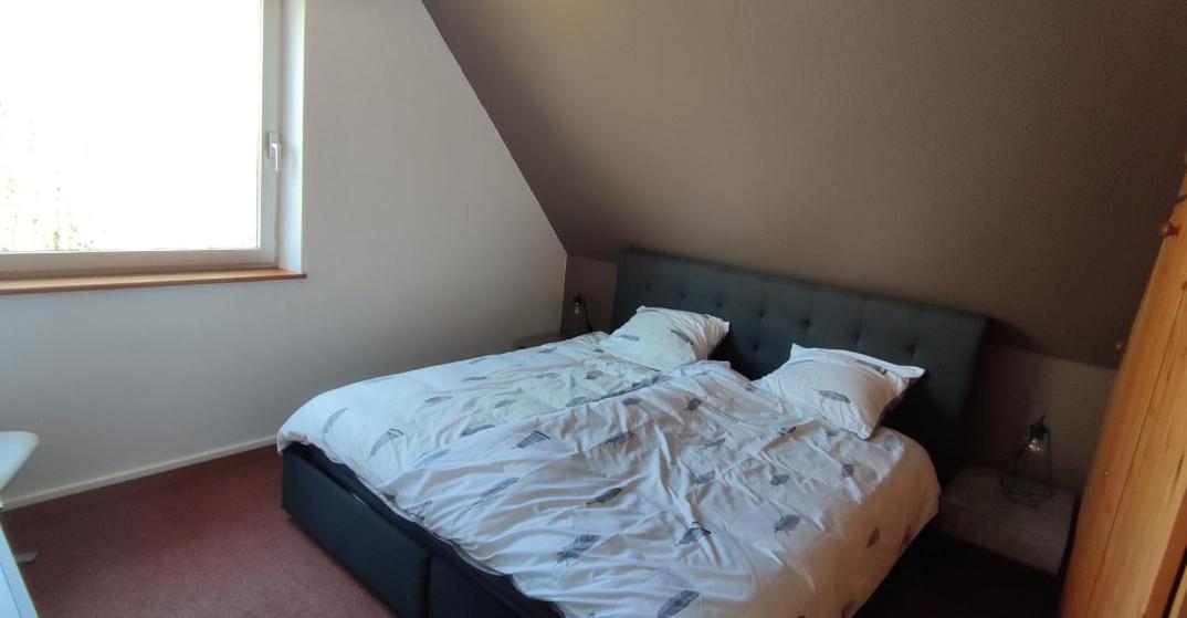 Ferienwohnung Le Strasbourgeois Illkirch-Graffenstaden Exterior foto