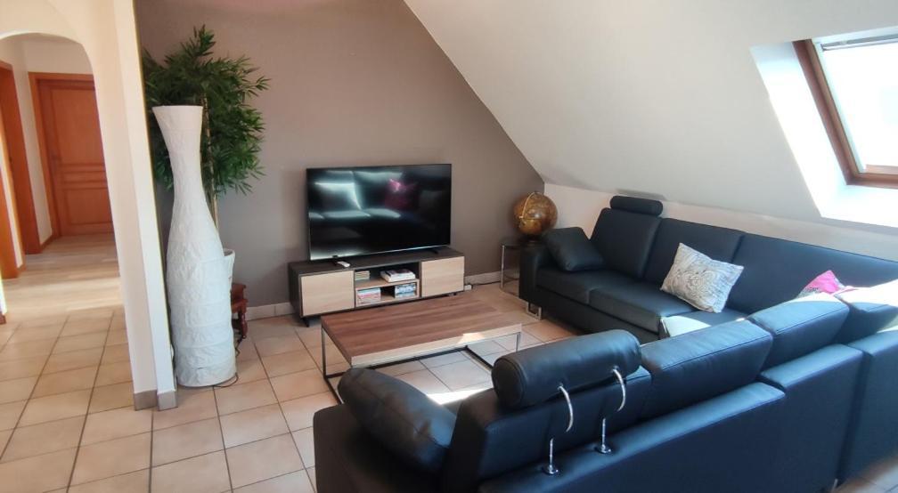 Ferienwohnung Le Strasbourgeois Illkirch-Graffenstaden Exterior foto
