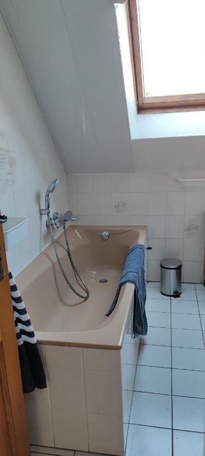 Ferienwohnung Le Strasbourgeois Illkirch-Graffenstaden Exterior foto